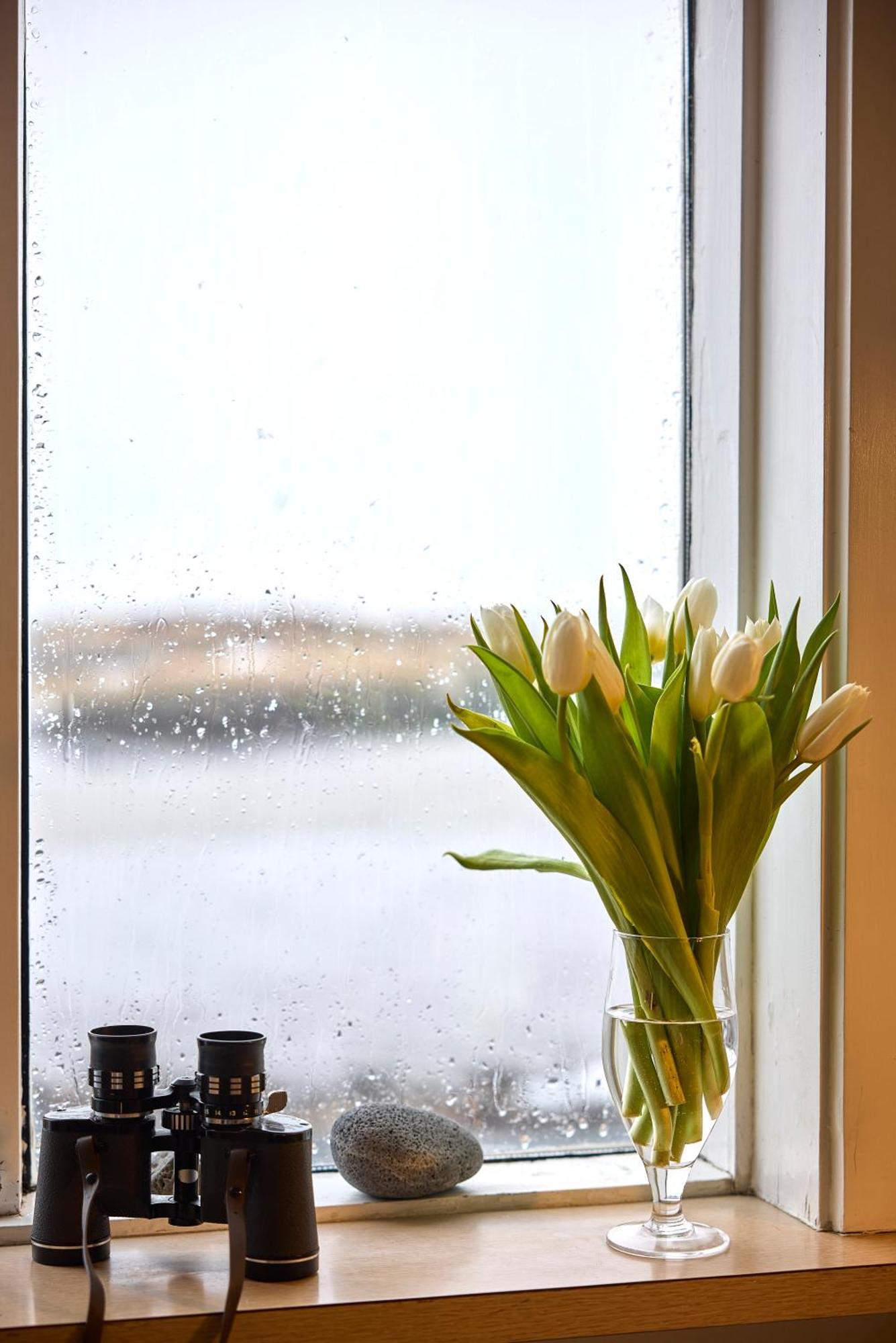 Englendingavik Homestay Borgarnes Buitenkant foto